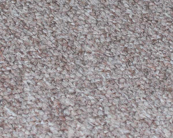 carpet cleannig bath 1